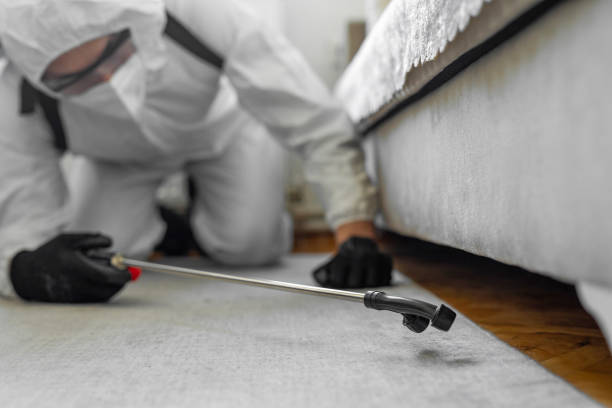 Professional Ant Control technician working in Coldspring, TX